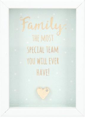Family: The most special team you...