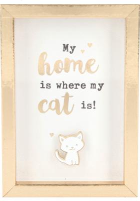 My home is where my cat is!